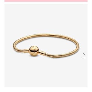 Pandora Moments Snake Chain
Bracelet!